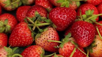 las fresas maduras son de color rojo con un sabor agridulce. video
