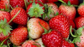 mogen jordgubbar är röd i Färg med en ljuv och sur smak. jordgubb frukt video