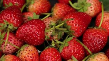 les fraises mûres sont de couleur rouge avec un goût aigre-doux. video