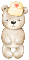 oso de peluche del día de san valentín acuarela png