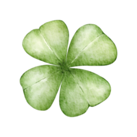 feliz día de san patricio elemento acuarela png