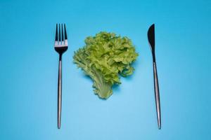 Salad on the blue background. The concept of diet. photo