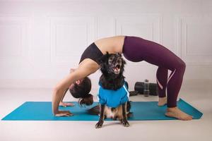 Sport with a dog. Attractive young woman working out on the blue fitness mat with her dog. Athletic woman doing exercise. Strength and motivation, sport and healthy lifestyle. Female fitness. photo
