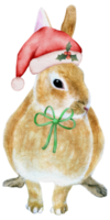 acuarela conejo año año nuevo chino pintura a mano png