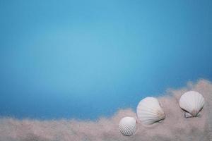 Sea shells and beach sand on the blue background, with free space for text. photo