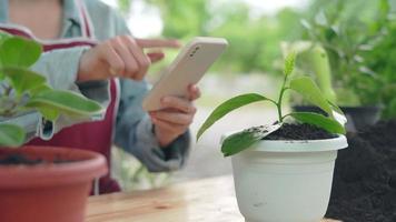 plantas conceptuales como pasatiempo y carrera y negocios en línea. una mujer propietaria de un pequeño negocio de plantas y flores está tomando fotos y colocándolas en Internet. video