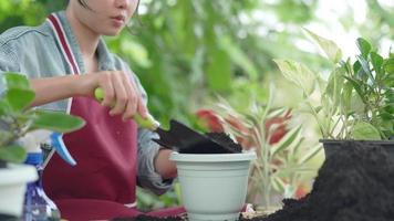 plantas conceptuales. mujer asiática poniendo tierra para cubrir las raíces de las plantas en macetas y rociar agua para el árbol. El suelo y el agua son importantes para el crecimiento de los árboles. video