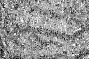 Shiny and glittering, silver fabric with sequins. Abstract background. Events, celebrations, Christmas, New Year. Trendy backdrop. photo