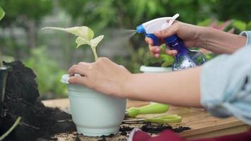 Woman spray watering plants after planting plants as a holiday hobby. water important for growth of trees. Concept plants for hobby . video