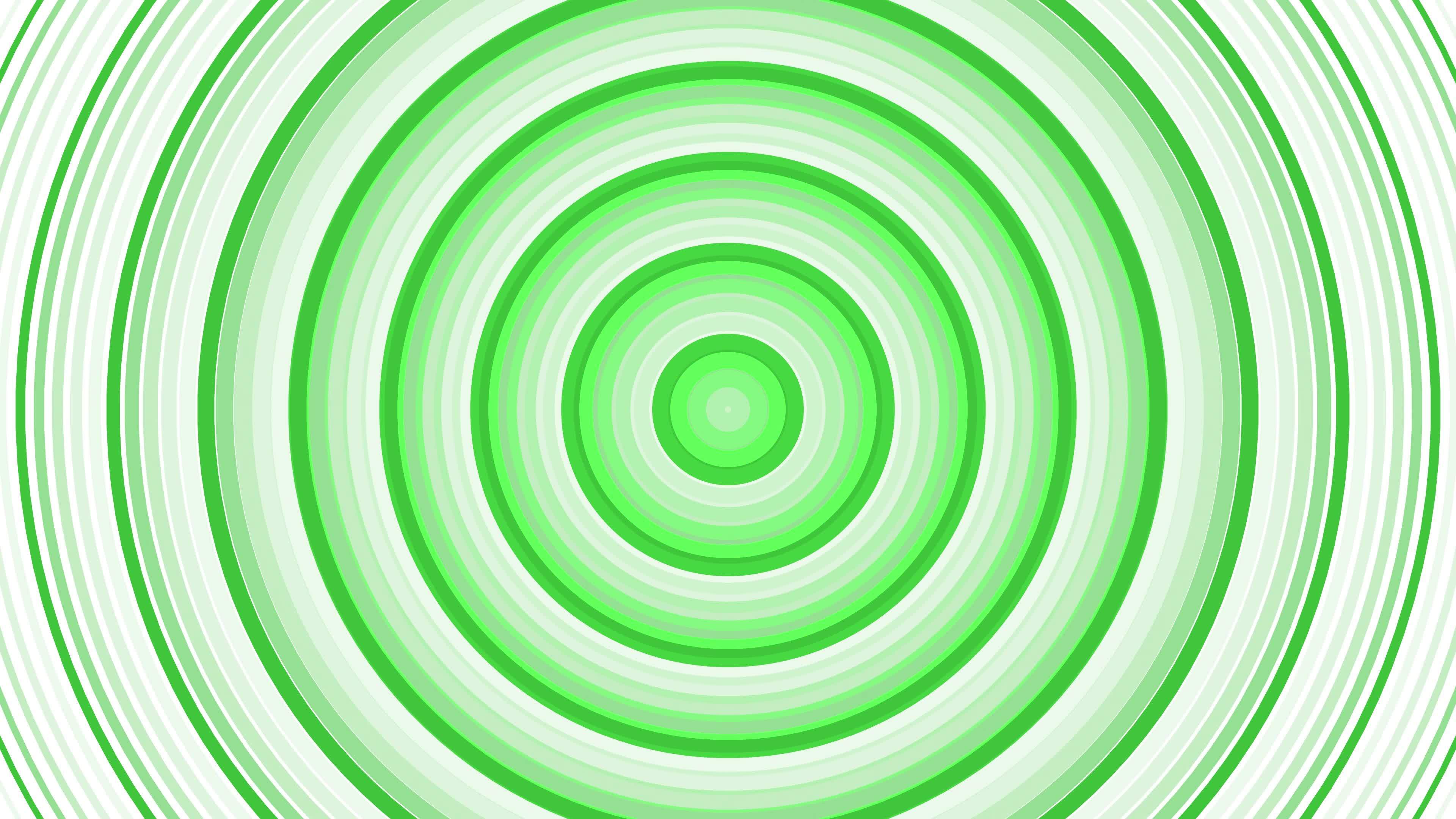 Green bold circles simple flat geometric on white background loop