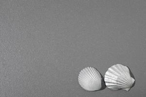 Gray rough background with silver seashells. Free space for text, copy space. photo