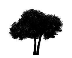 diseño de pincel de árbol de silueta sobre fondo blanco, pincel de ilustraciones de árbol real con ruta de recorte y canal alfa foto