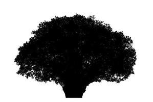 diseño de pincel de árbol de silueta sobre fondo blanco, pincel de ilustraciones de árbol real con ruta de recorte y canal alfa foto
