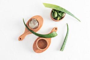 two wooden bowls with natural aloe vera gel and pieces of fresh juicy plant on wooden boards top view. white textured background. photo