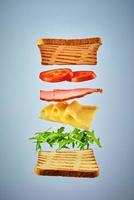 sándwich con ingredientes voladores sobre fondo azul. concepto de comida para moscas foto