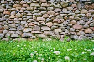 Stones and green grass, front yard. Landscape design photo