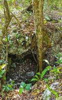 Walking trekking path at cave sinkhole cenote Tajma ha Mexico. photo