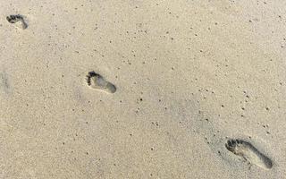 Footprint footprints on the beach sand by the water Mexico. photo