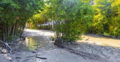 Muddy roads with puddles and mud on Holbox island Mexico. photo