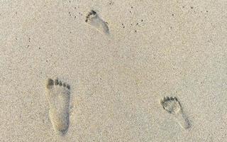 Footprint footprints on the beach sand by the water Mexico. photo