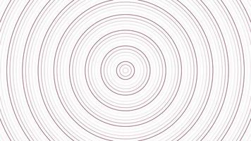 Red slim circles simple flat geometric on white background loop. Rounds radio waves endless creative animation. Rings seamless motion graphic backdrop. Sphere radar sonar design. video