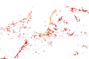 Fire flame texture. Burning material backdrop. Burn effect pattern. Blaze and torch wallpaper. Transparent background. png