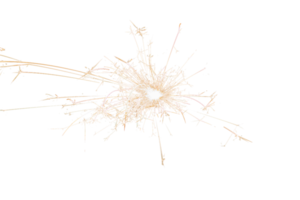 Burning sparkler isolated on transparent background. Fireworks theme. Light effect and texture. Christmas and new year decoration. PNG image.