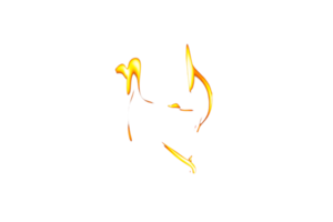 Fire flame texture. Burning material backdrop. Burn effect pattern. Blaze and torch wallpaper. Transparent background. png