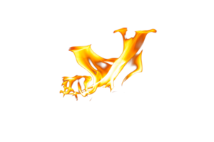 Fire flame texture. Burning material backdrop. Burn effect pattern. Blaze and torch wallpaper. Transparent background. png