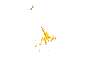 Fire flame texture. Burning material backdrop. Burn effect pattern. Blaze and torch wallpaper. Transparent background. png
