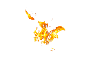 Fire flame texture. Burning material backdrop. Burn effect pattern. Blaze and torch wallpaper. Transparent background. png