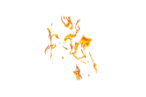 Fire flame texture. Burning material backdrop. Burn effect pattern. Blaze and torch wallpaper. Transparent background. png