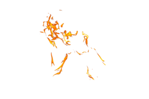 Fire flame texture. Burning material backdrop. Burn effect pattern. Blaze and torch wallpaper. Transparent background. png