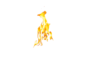 Fire flame texture. Burning material backdrop. Burn effect pattern. Blaze and torch wallpaper. Transparent background. png