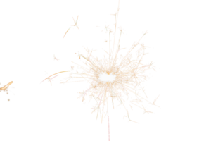 Burning sparkler isolated on transparent background. Fireworks theme. Light effect and texture. Christmas and new year decoration. PNG image.