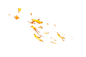 Fire flame texture. Burning material backdrop. Burn effect pattern. Blaze and torch wallpaper. Transparent background. png