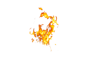 Fire flame texture. Burning material backdrop. Burn effect pattern. Blaze and torch wallpaper. Transparent background. png