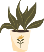 Home plant in a pot. Cozy home element. Hygge style house. png