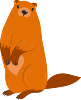 jour de la marmotte. personnage de la marmotte. castor ou gopher.flat cartoon style.weather prévisionniste. png