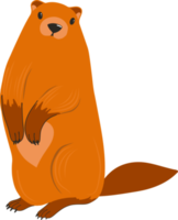 Tag des Murmeltiers. Murmeltier Charakter. biber oder gopher.flat cartoon style.weather prognostiker. png