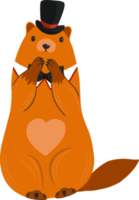 Groundhog Day. Groundhog character. Beaver or gopher.Flat cartoon style.Weather forecaster. png