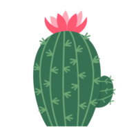 cactus met bloemen png