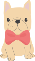 mignon chien bouledogue français en costume de saint valentin style plat png