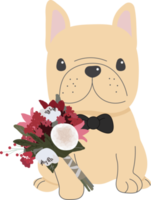 söt franska bulldogg hund i valentines dag kostym platt stil png
