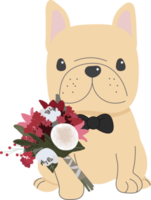 mignon chien bouledogue français en costume de saint valentin style plat png