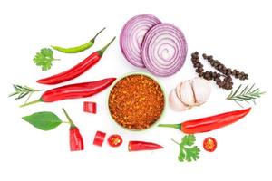 Composition of various herbs and spices vegetables rosemary pepper onion, garlic, fresh red chili, and garden mix for healthy food. isolated on white background, top view photo