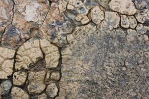 broke and cracked crack wet stone concrete texture close up background photo