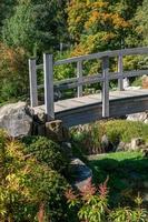 Arch bridge in a Japanese garden photo