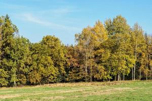 Autumn landscape with trees and blue sky photo