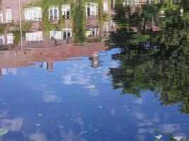 reflejo del agua de los árboles y un edificio foto